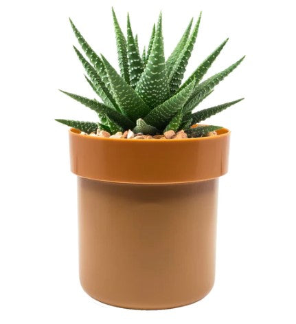 StealthVault Flowerpot Safe - Yadget