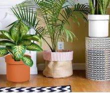 Load image into Gallery viewer, StealthVault Flowerpot Safe - Yadget