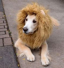 Load image into Gallery viewer, Lion Mane Dog Costume