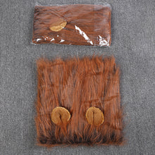 Load image into Gallery viewer, Lion Mane Dog Costume