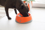 OH Bowl® for Dogs by LickiMat® - Yadget