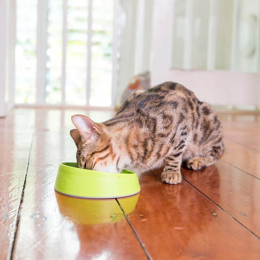 OH Bowl® for Cats by LickiMat® - Yadget