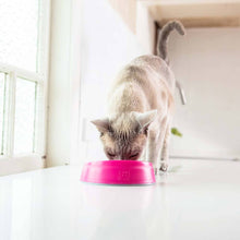 Load image into Gallery viewer, OH Bowl® for Cats by LickiMat® - Yadget