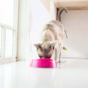 OH Bowl® for Cats by LickiMat® - Yadget