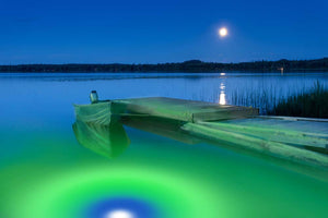 The Best Underwater LED Lighting System - IRIS Mega-Watt -Dual Color Lights and Multiple Lengths - Yadget