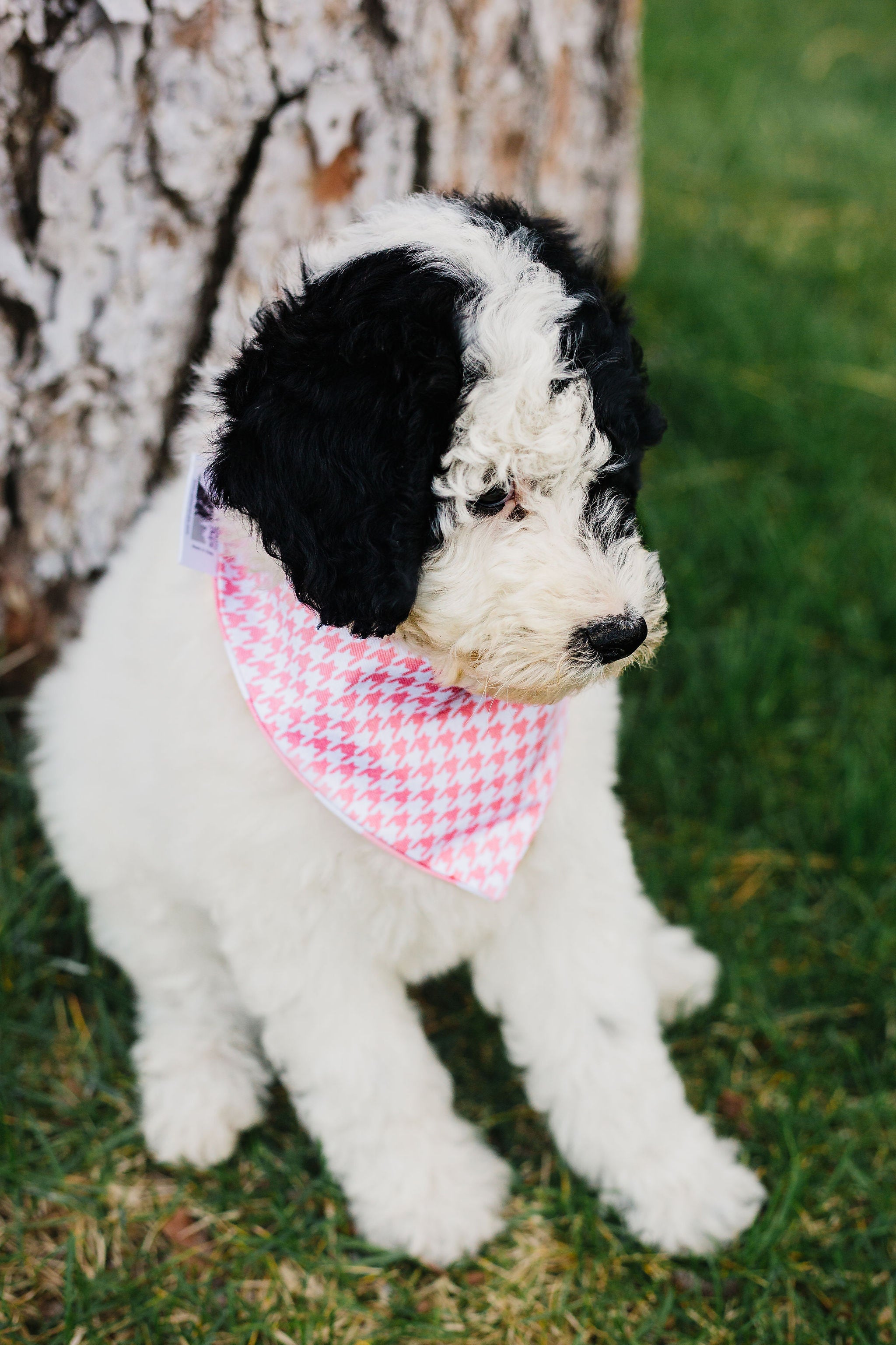 Pink Houndstooth Reversible Dog Bandana