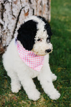Load image into Gallery viewer, Pink Houndstooth Reversible Dog Bandana