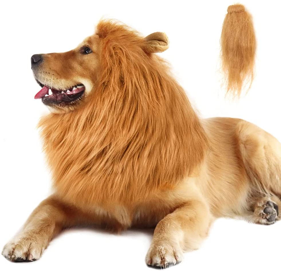 Lion Mane Dog Costume