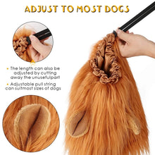 Load image into Gallery viewer, Lion Mane Dog Costume